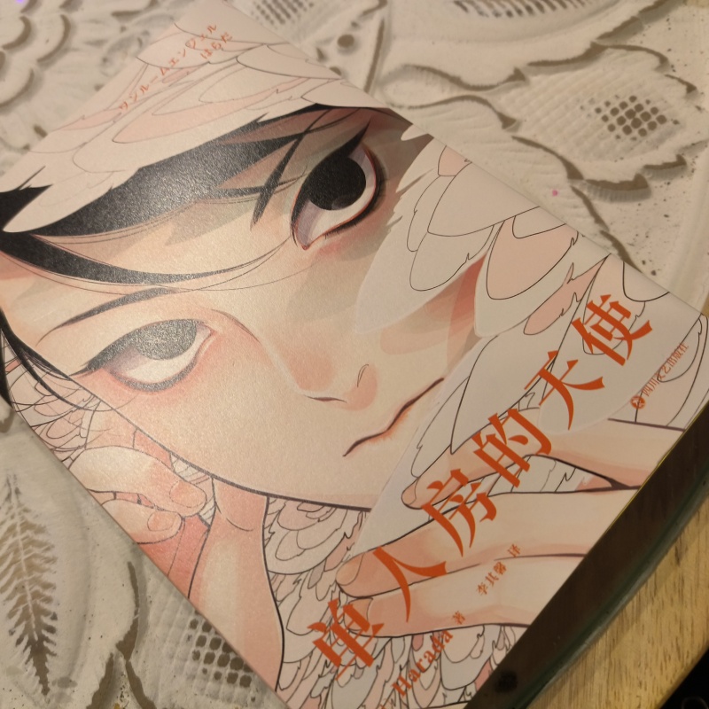 Japanese Single Room Angel Ori - Japanese Lifestyle Books 리뷰 및 가격